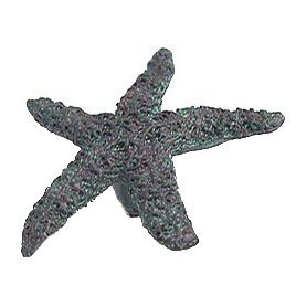Anne at Home Starfish Knob in Black with Cherry Wash