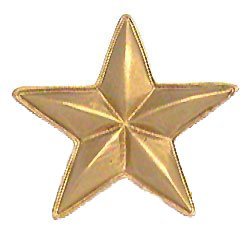 Anne at Home Star Knob - Large in Gold