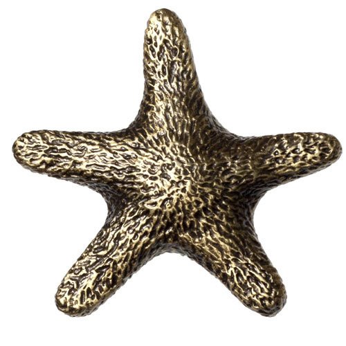 Big Sky Hardware Star Fish Knob in Antique Brass