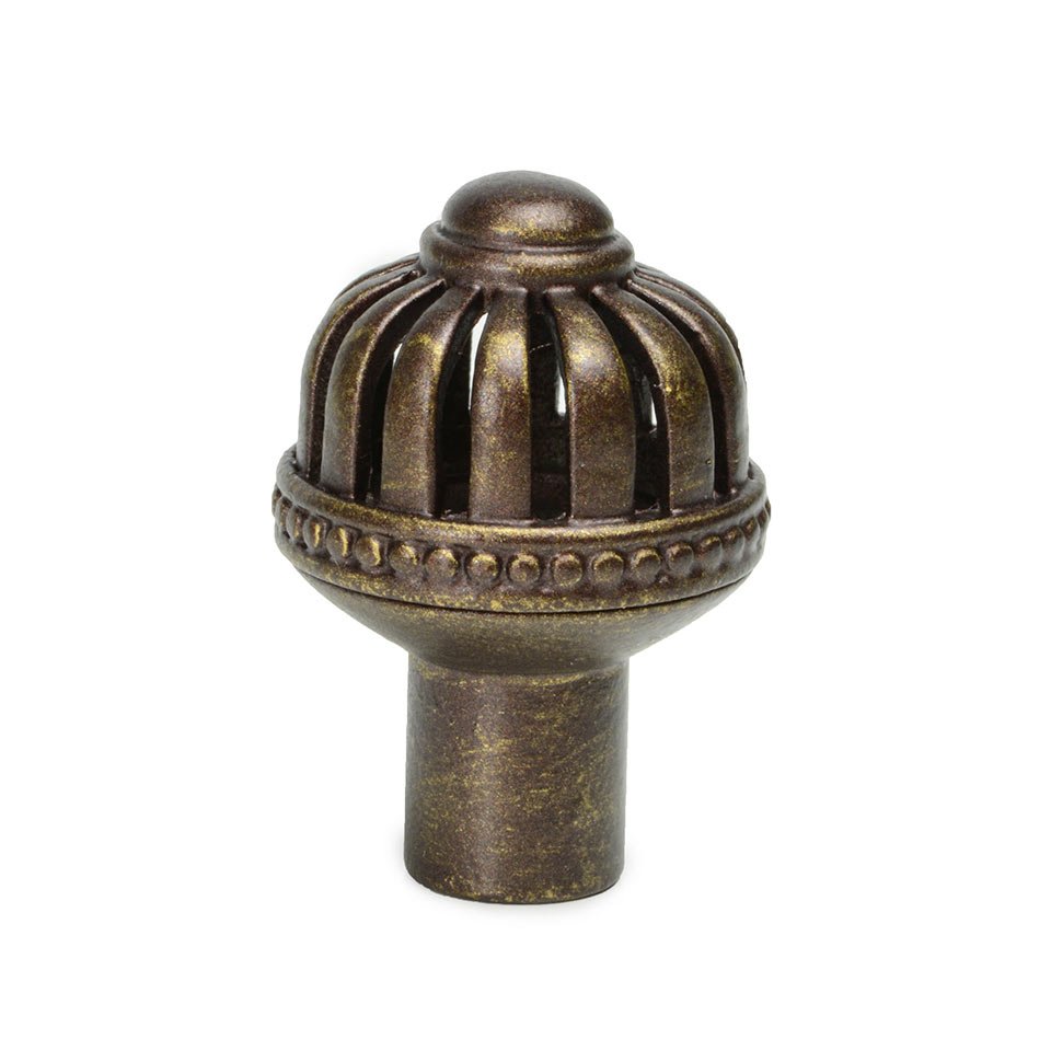 Carpe Diem Round Medium Knob in Bronze