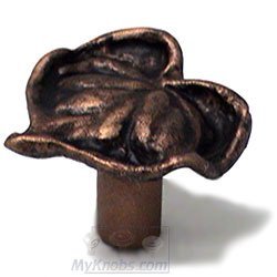 Carpe Diem Lily Pad Large Knob in Antique Brass