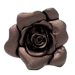 Carpe Diem Rose Knob in Bronze