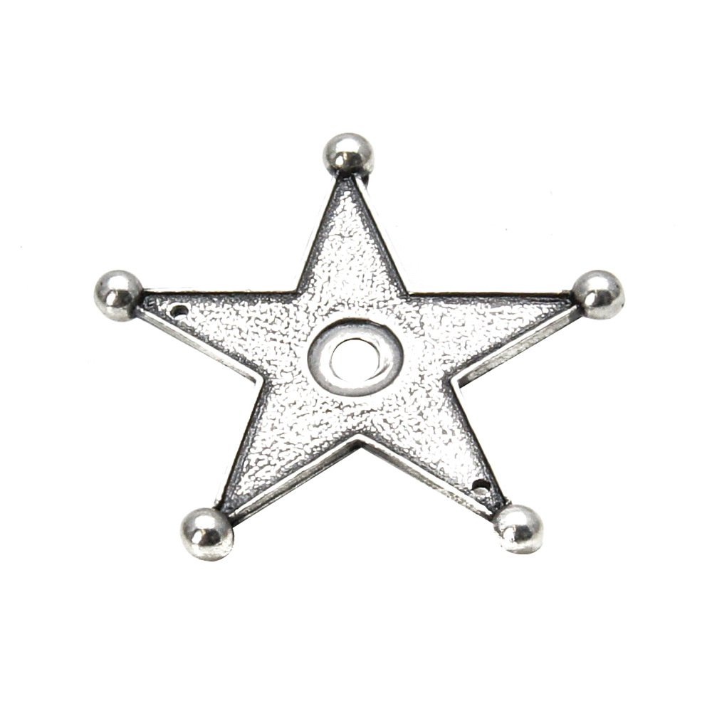 Carpe Diem Western Star Backplate in Platinum