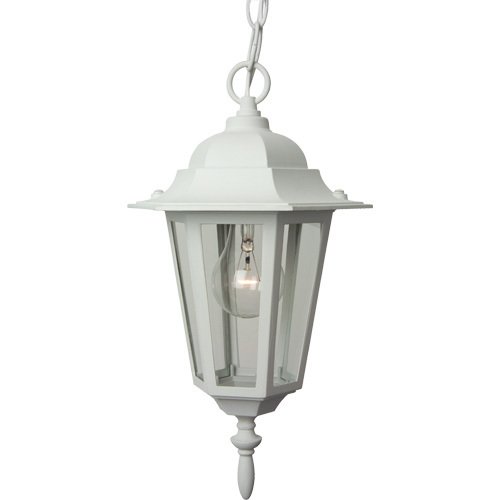 Craftmade 8" Hanging Exterior Light in Matte White with Clear Glass
