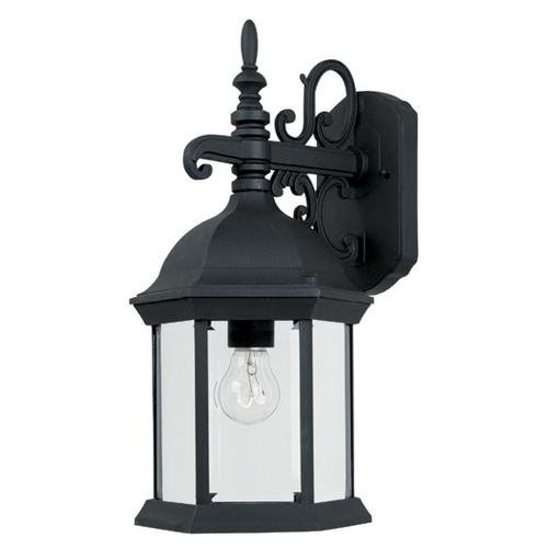 Designers Fountain Exterior Wall Lantern in Black with Clear