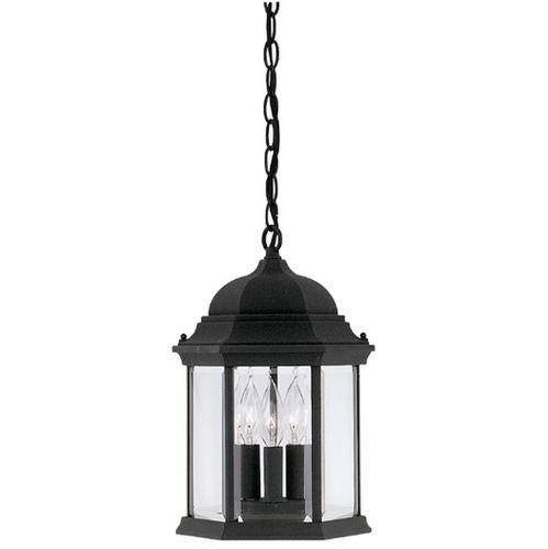 Designers Fountain Exterior Hanging Lantern in Black with Clear