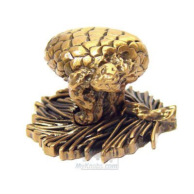 Edgar Berebi Arts and Craft Pinecone Knob in Museum Gold