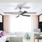 Craftmade Lighting - Marissa - 52" Ceiling Fan in Brushed Polished Nickel
