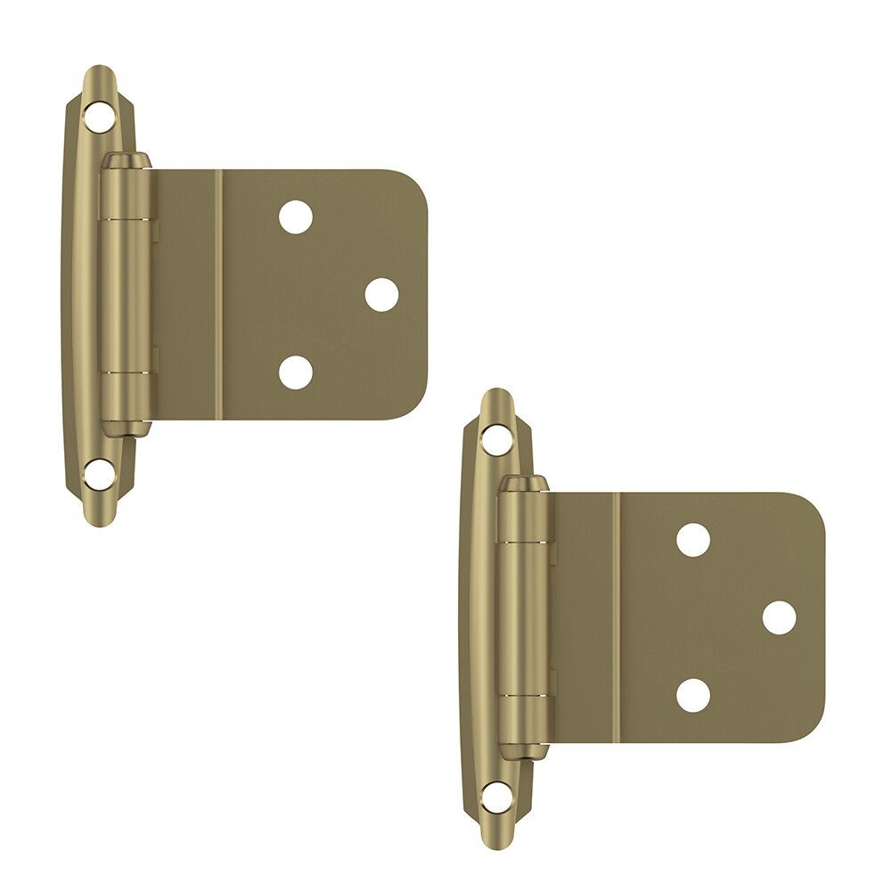 Amerock 3/8" (10 mm) Inset Self Closing Face Mount Cabinet Hinge (Pair) in Golden Champagne