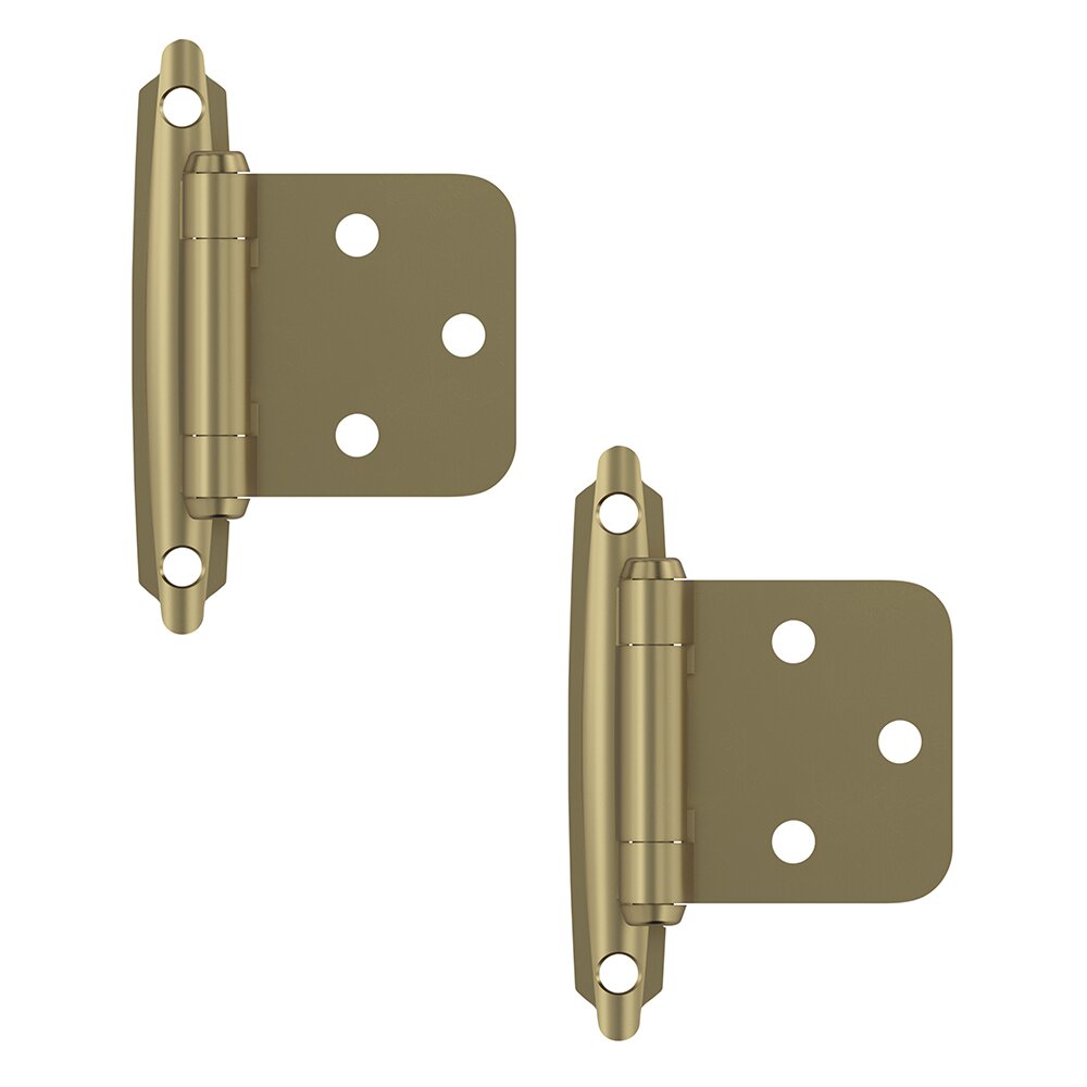 Amerock Variable Overlay Self Closing Face Mount Cabinet Hinge (Pair) in Golden Champagne