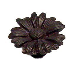 Anne at Home Daisy Knob (Small) in Black with Terra Cotta Wash