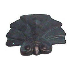 Anne at Home Deco Shell Knob in Bronze with Black Wash