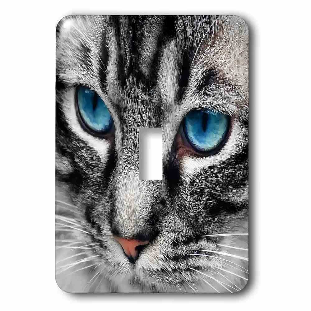 Animals Collection - Single Toggle Switch Plate With Silver Tabby Cat Face  With Blue Eyes. by Jazzy Wallplates - lsp_172990_1 | MyKnobs