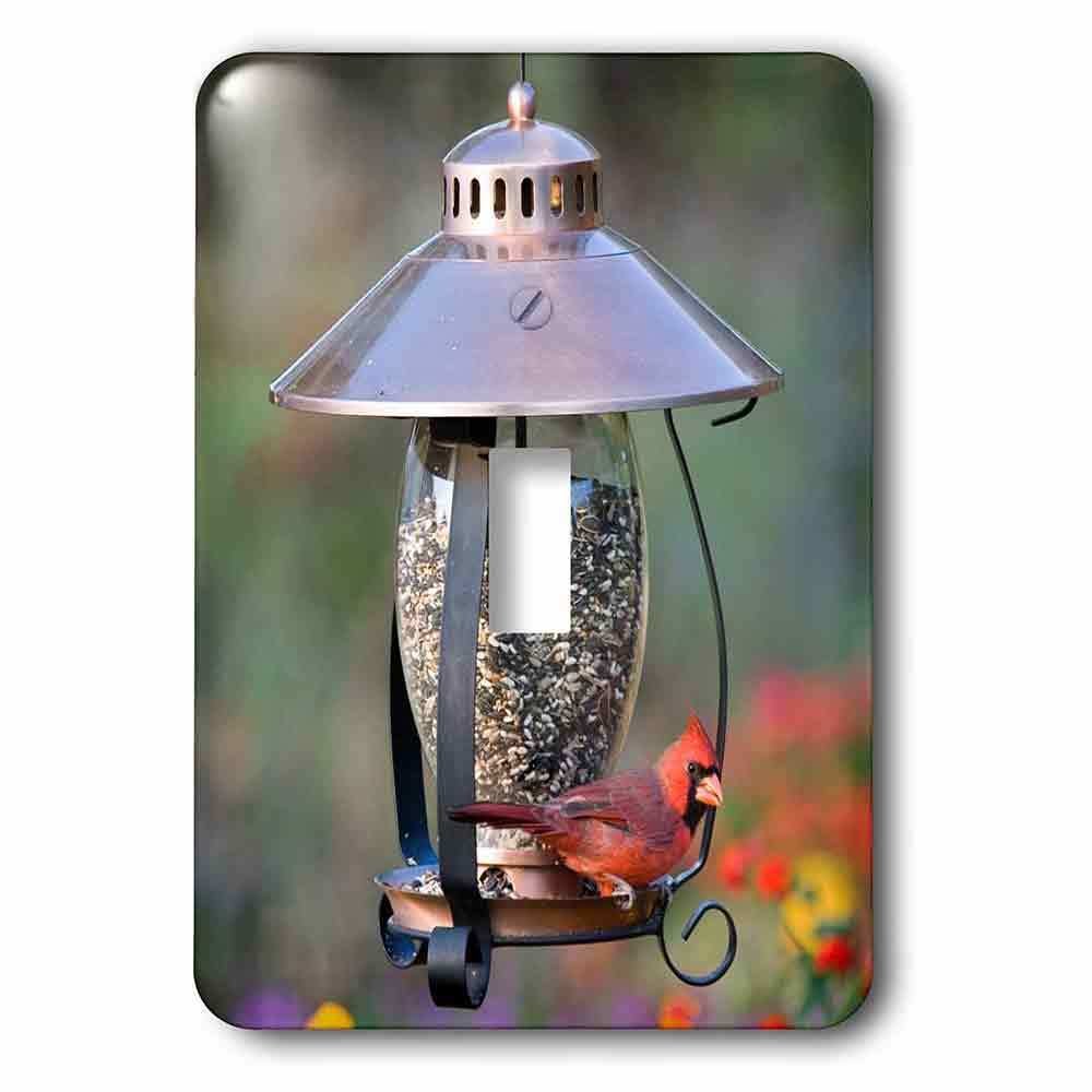 Jazzy Wallplates Single Toggle Wall Plate With Northern Cardinal On Copper Lantern Hopper Bird Feeder