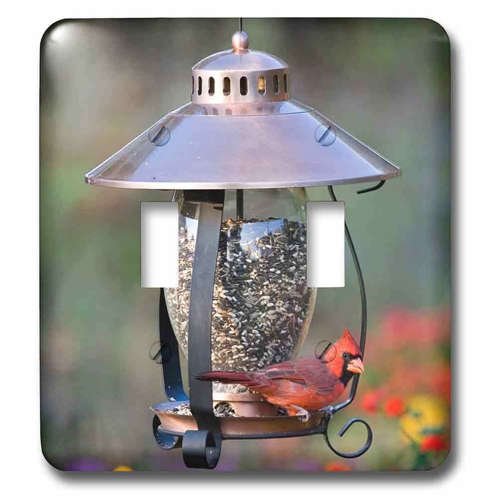 Jazzy Wallplates Double Toggle Wall Plate With Northern Cardinal On Copper Lantern Hopper Bird Feeder