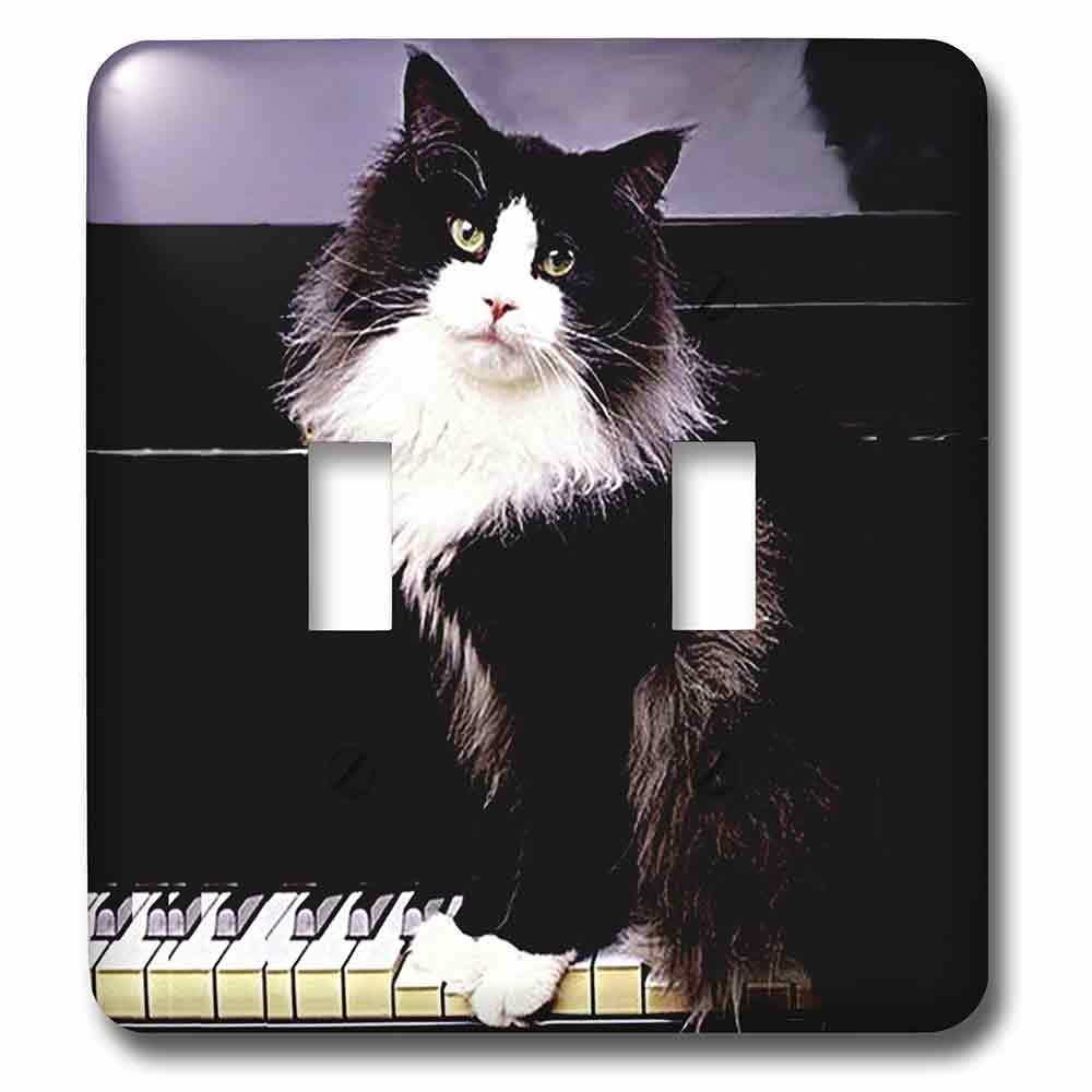 Jazzy Wallplates Double Toggle Wallplate With Tuxedo Cat