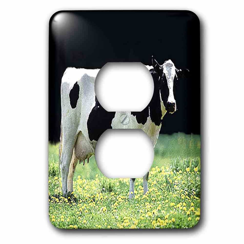 Jazzy Wallplates Single Duplex Wallplate With Holstein Cow