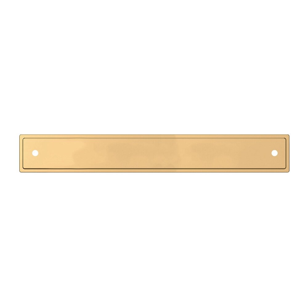 Baldwin 6" Centers Transitional Back Plate in Lifetime Pvd Polished Brass