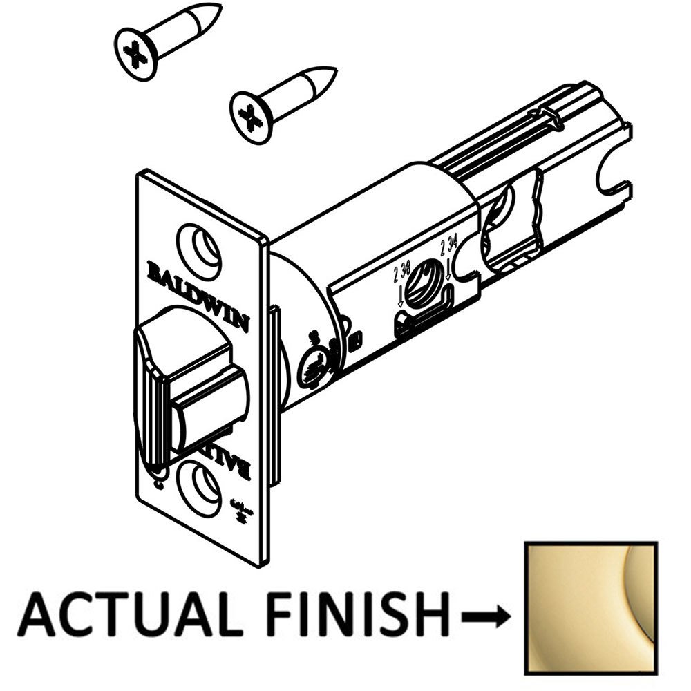 Baldwin Keyed Square UL Rated Deadlatch for Entry Lever/Knob in Lifetime Pvd Polished Brass