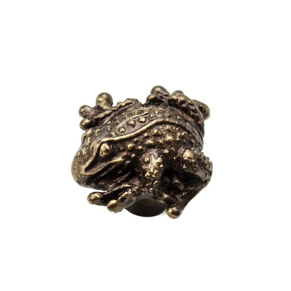Carpe Diem Frog Small Knob in Bronze