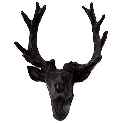 Carpe Diem Deer Knob in Bronze