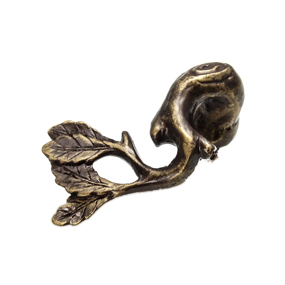 Carpe Diem Twig Knob in Antique Brass