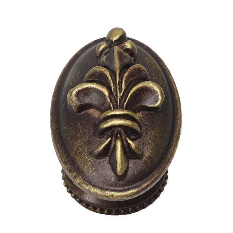 Carpe Diem Oval Knob in Antique Brass