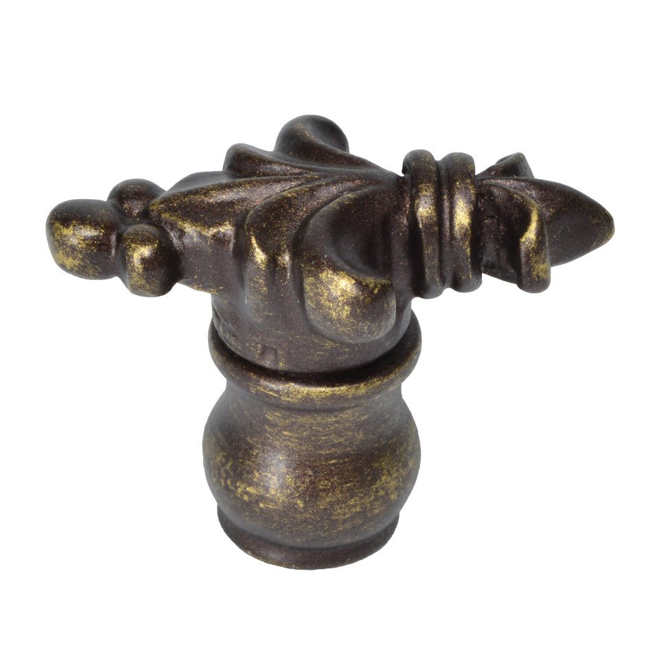 Carpe Diem Large Knob in Antique Brass