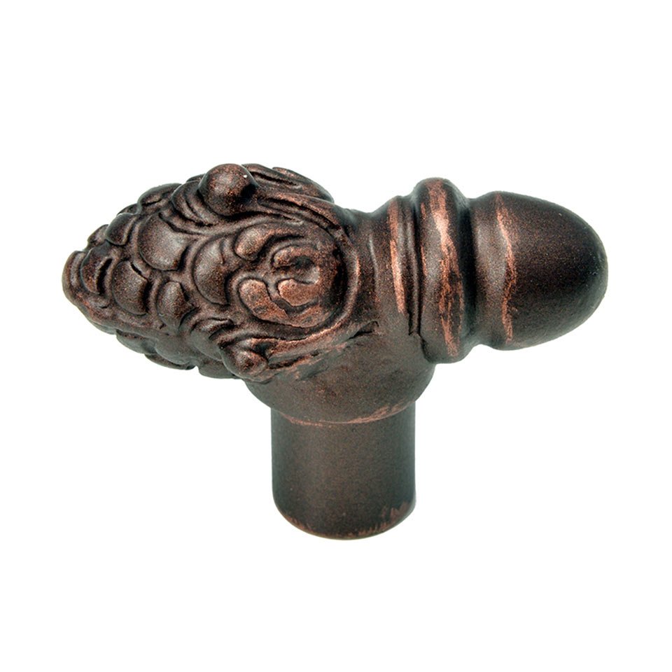 Carpe Diem Large Knob in Bronze