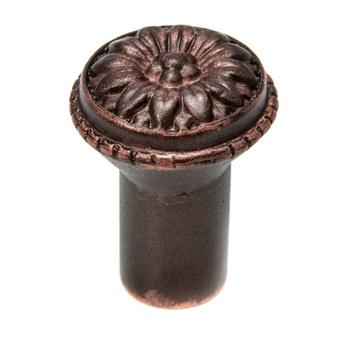 Carpe Diem Small Knob in Bronze