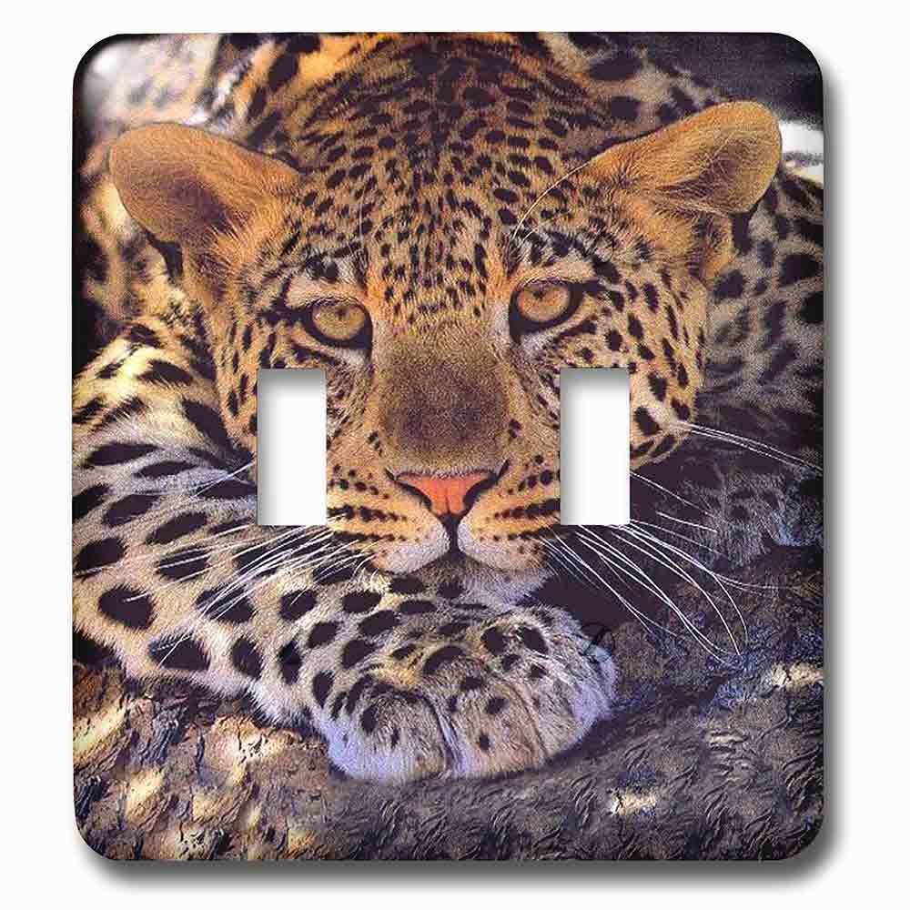 Jazzy Wallplates Double Toggle Wallplate With Leopard