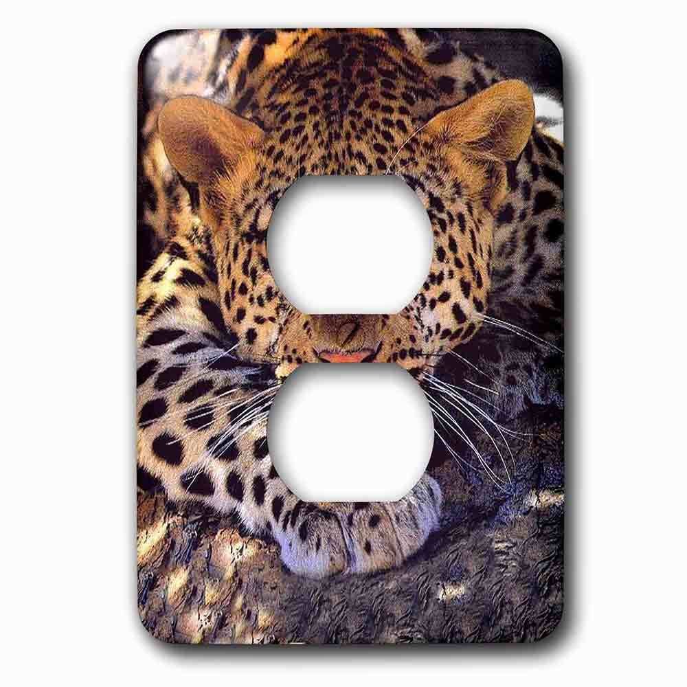Jazzy Wallplates Single Duplex Outlet With Leopard