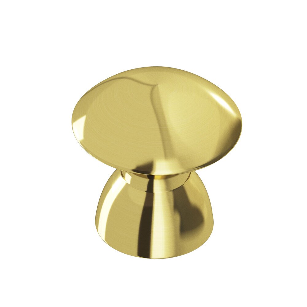 Colonial Bronze 1" Diameter Knob In Polished Brass Unlacquered