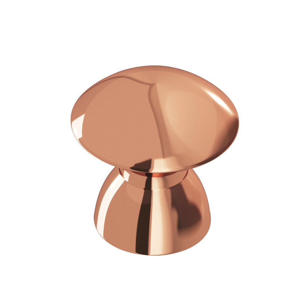 Colonial Bronze 1" Diameter Knob In Polished Copper