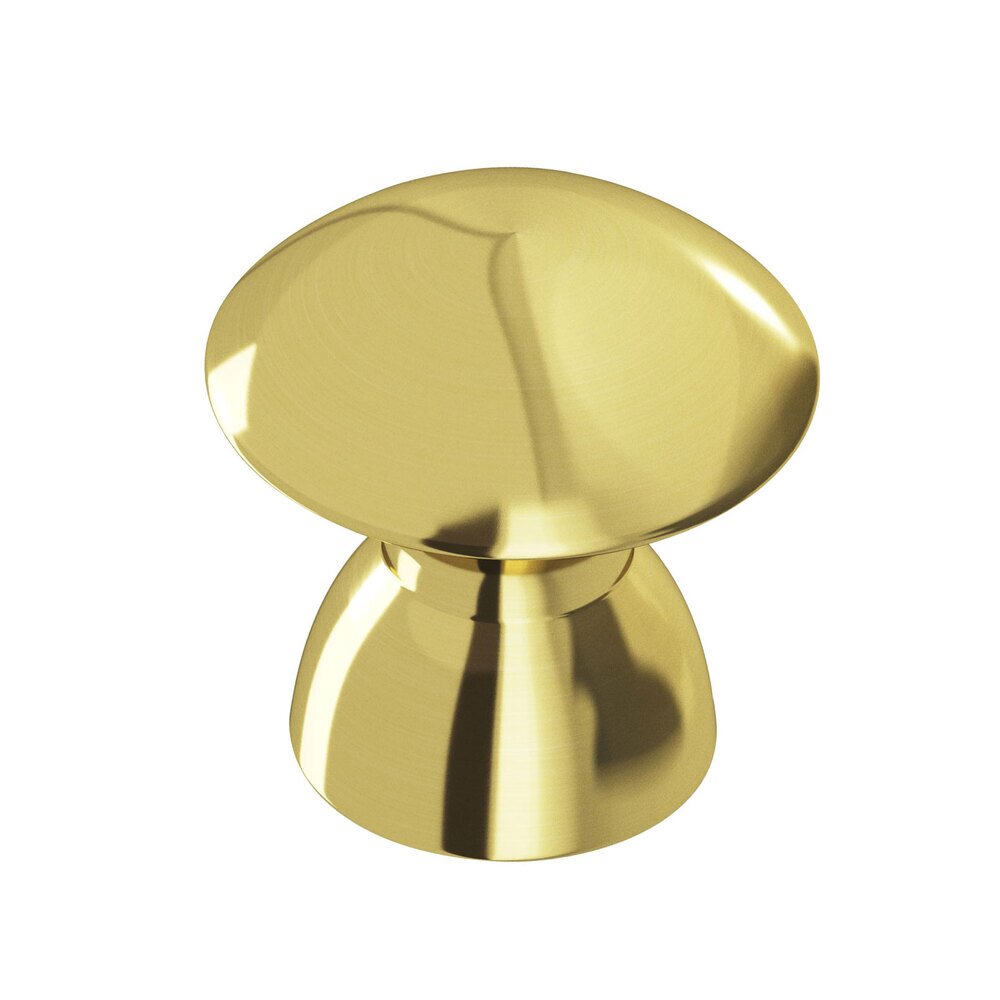 Colonial Bronze 1 1/4" Diameter Knob In Polished Brass Unlacquered