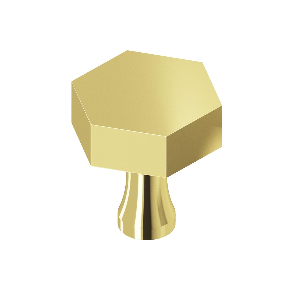 Colonial Bronze 1 1/4" Hex Knob In Polished Brass