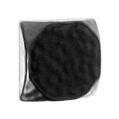 Acorn MFG 1 5/8" Square Clavos in Black