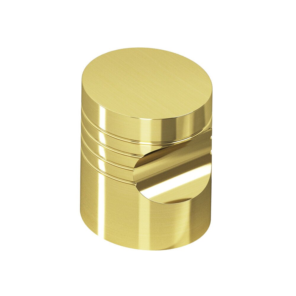 Colonial Bronze 1" Diameter Knob in Polished Brass Unlacquered