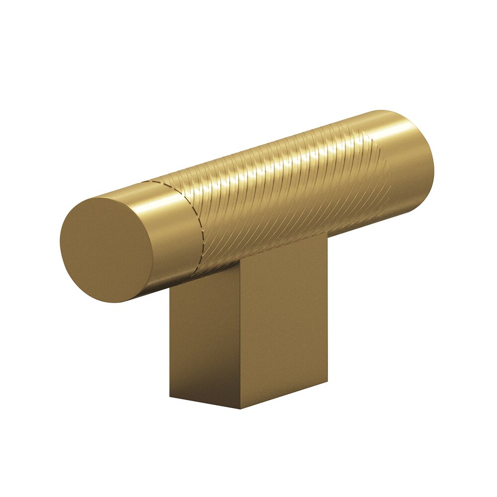 Colonial Bronze 1/2" T Cabinet Knob Hand Finished in Satin Brass