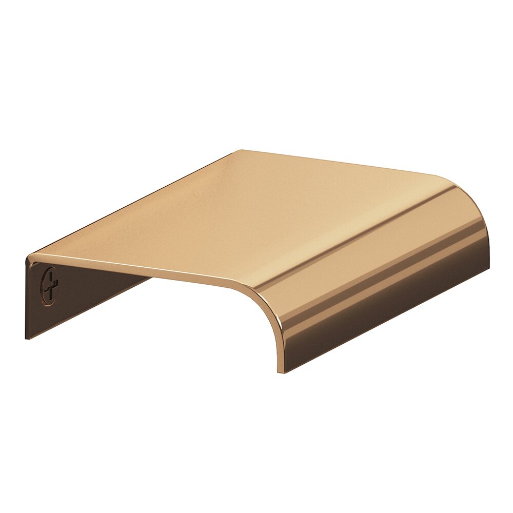 Colonial Bronze 2 1/2" Long Edge Pull in Polished Bronze
