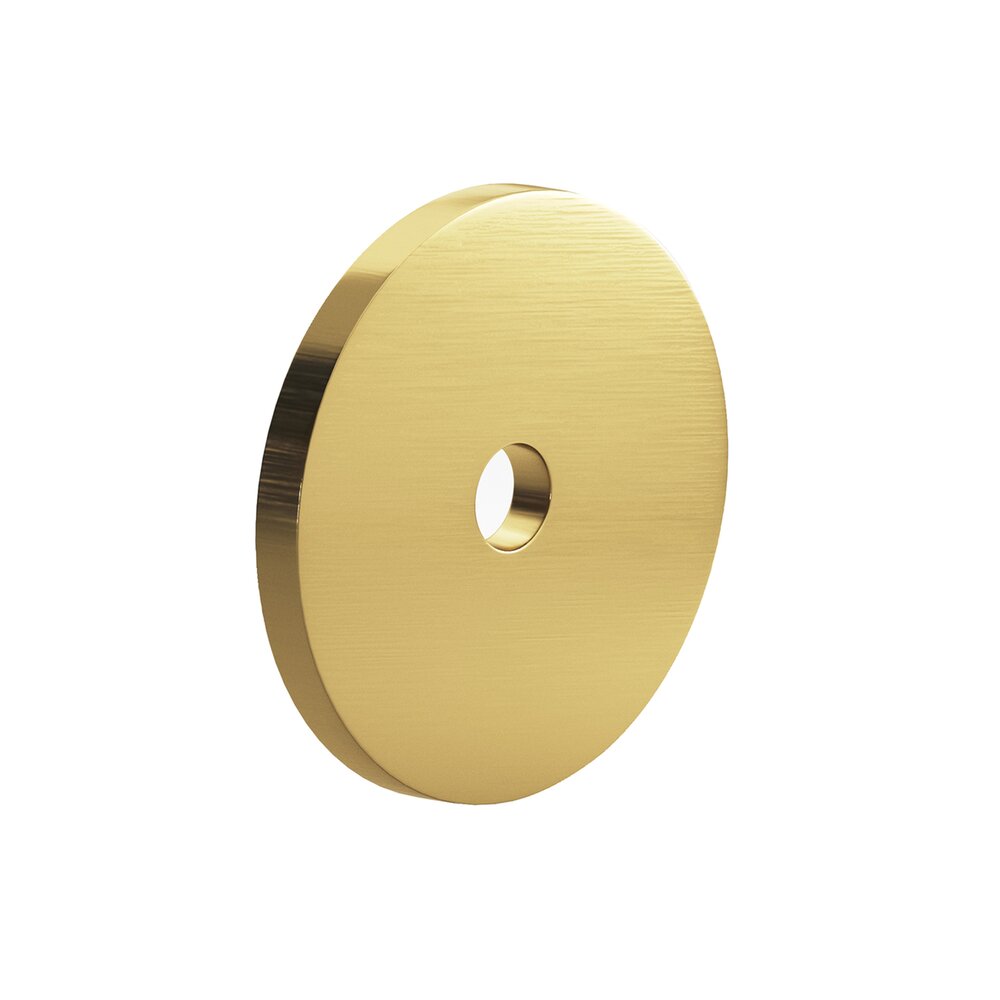 Colonial Bronze 5/8" Diameter Backplate in Unlacquered Satin Brass