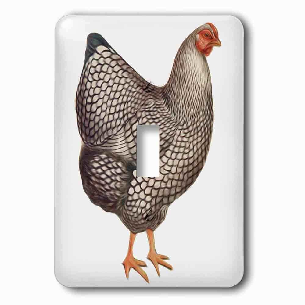 Jazzy Wallplates Single Toggle Wallplate With Vintage Bird Illustration Faux Oil Painting Effect Chicken Hen