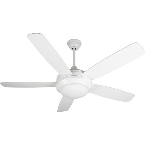 Craftmade 52" Ceiling Fan in White with Custom Blades and Integrated Light Kit