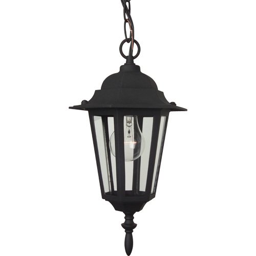 Craftmade 8" Hanging Exterior Light in Matte Black with Clear Glass