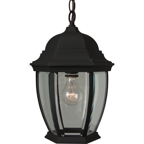 Craftmade 9 1/2" Hanging Exterior Light in Matte Black with Clear Beveled Glass