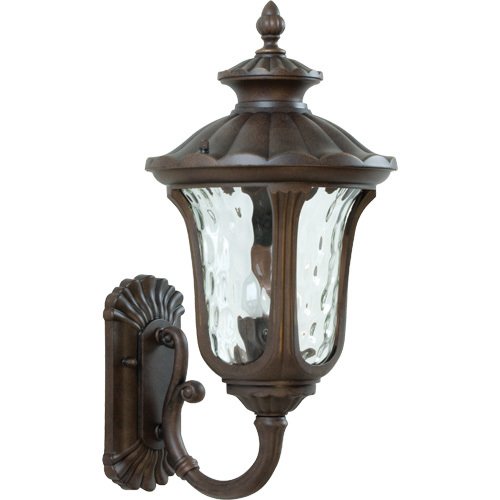 Craftmade 11" Exterior Wall Light in Aged Bronze with Clear Hammered Glass
