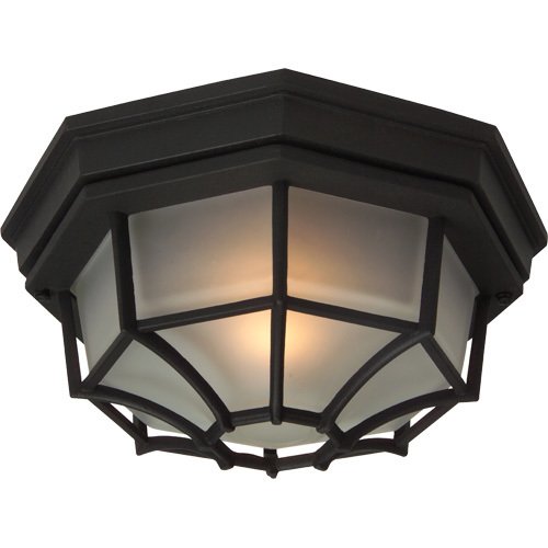 Craftmade 10 5/8" Flush Mount Exterior Light in Matte Black with Frosted Glass