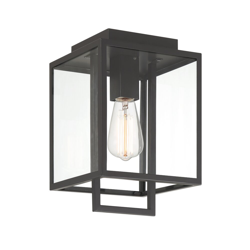 Designers Fountain 8" 1-Light Modern Outdoor Flush Mount in Matte Black with Clear Glass Shade