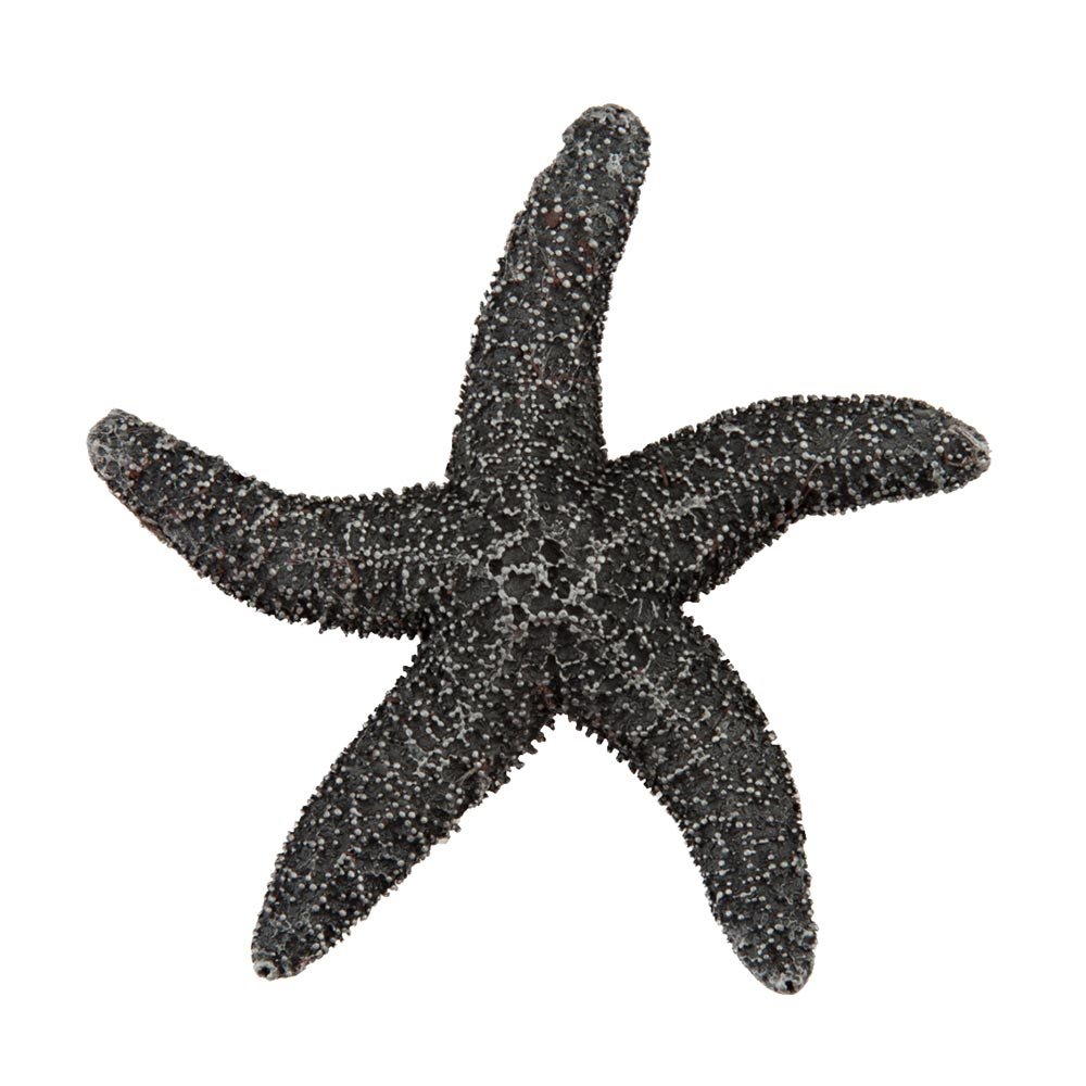 Acorn MFG 2 1/4" Natural Starfish Knob in Antique Pewter