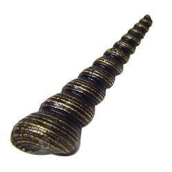 Emenee Small Turritella Knob in Antique Matte Brass